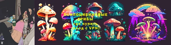 хмурый Абаза