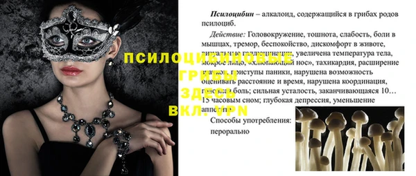 хмурый Абаза