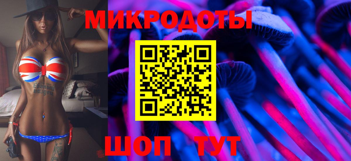 Псилоцибиновые грибы прущие грибы Камень-на-Оби